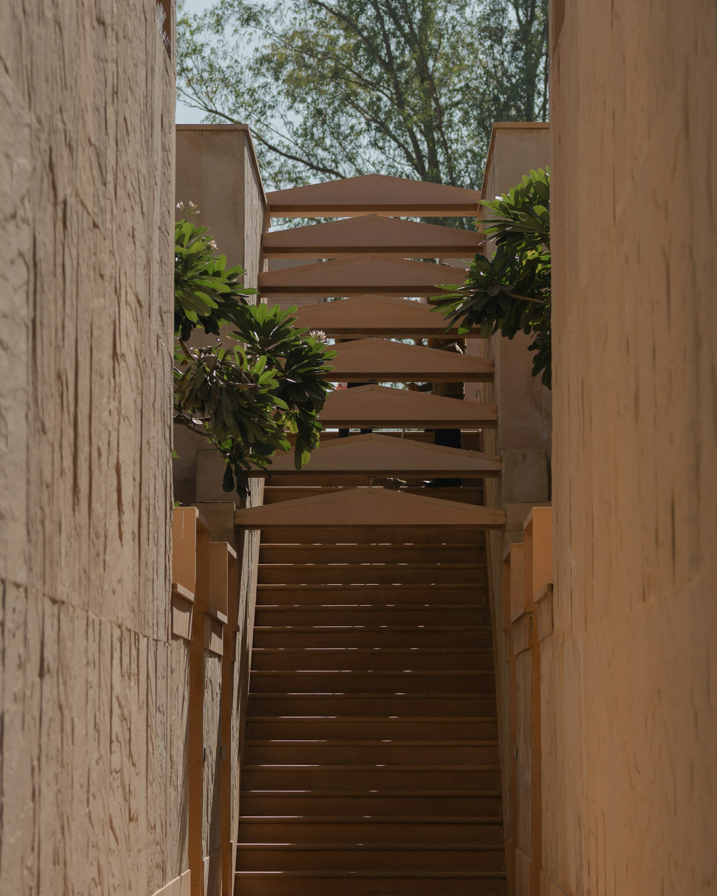 Wooden stairs rising between warm textured walls, with green leaves at the top in soft daylight.